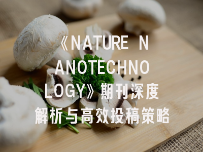 《NATURE NANOTECHNOLOGY》期刊深度解析与高效投稿策略