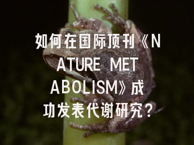 如何在国际顶刊《NATURE METABOLISM》成功发表代谢研究？