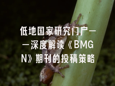 低地国家研究门户——深度解读《BMGN》期刊的投稿策略