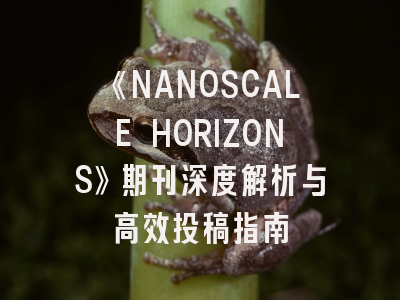 《NANOSCALE HORIZONS》期刊深度解析与高效投稿指南