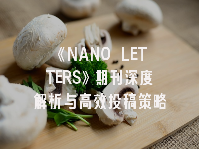 《NANO LETTERS》期刊深度解析与高效投稿策略