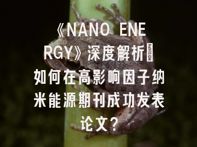 《NANO ENERGY》深度解析：如何在高影响因子纳米能源期刊成功发表论文？