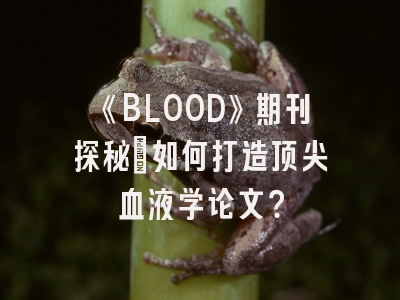 《BLOOD》期刊探秘_如何打造顶尖血液学论文？