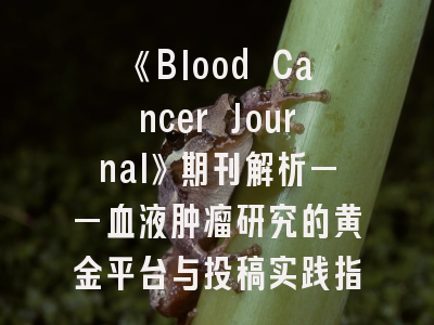 《Blood Cancer Journal》期刊解析——血液肿瘤研究的黄金平台与投稿实践指南