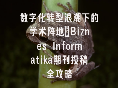 数字化转型浪潮下的学术阵地_Biznes Informatika期刊投稿全攻略