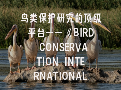 鸟类保护研究的顶级平台——《BIRD CONSERVATION INTERNATIONAL》投稿全指南