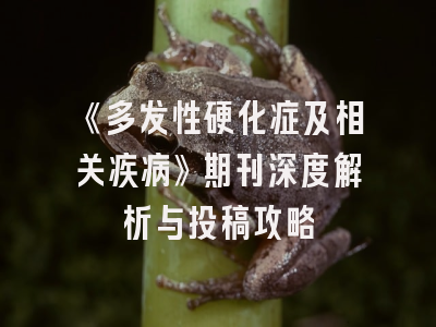 《多发性硬化症及相关疾病》期刊深度解析与投稿攻略
