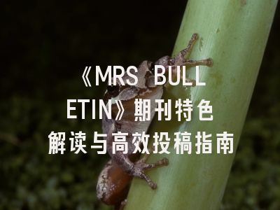 《MRS BULLETIN》期刊特色解读与高效投稿指南