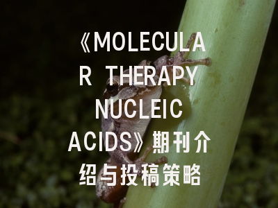 《MOLECULAR THERAPY NUCLEIC ACIDS》期刊介绍与投稿策略