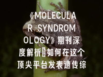 《MOLECULAR SYNDROMOLOGY》期刊深度解析：如何在这个顶尖平台发表遗传综合征研究