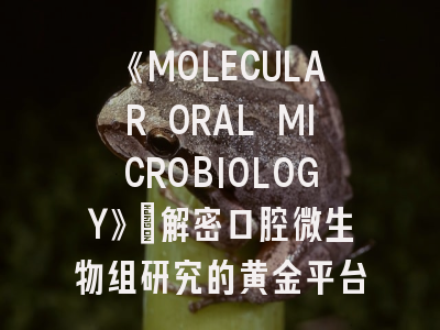 《MOLECULAR ORAL MICROBIOLOGY》：解密口腔微生物组研究的黄金平台