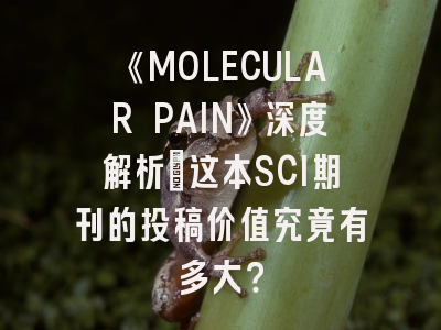 《MOLECULAR PAIN》深度解析：这本SCI期刊的投稿价值究竟有多大？