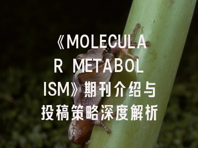 《MOLECULAR METABOLISM》期刊介绍与投稿策略深度解析