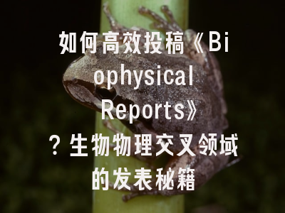 如何高效投稿《Biophysical Reports》？生物物理交叉领域的发表秘籍