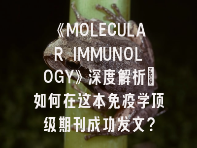《MOLECULAR IMMUNOLOGY》深度解析：如何在这本免疫学顶级期刊成功发文？