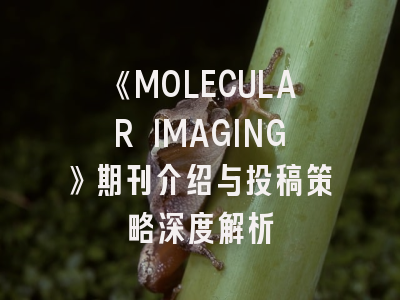《MOLECULAR IMAGING》期刊介绍与投稿策略深度解析