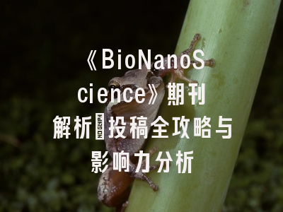 《BioNanoScience》期刊解析：投稿全攻略与影响力分析