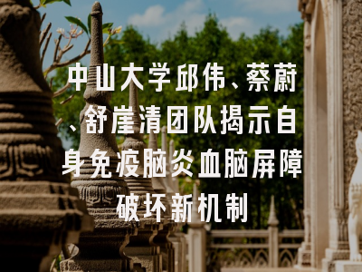 中山大学邱伟、蔡蔚、舒崖清团队揭示自身免疫脑炎血脑屏障破坏新机制
