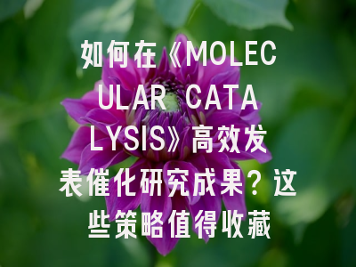 如何在《MOLECULAR CATALYSIS》高效发表催化研究成果？这些策略值得收藏