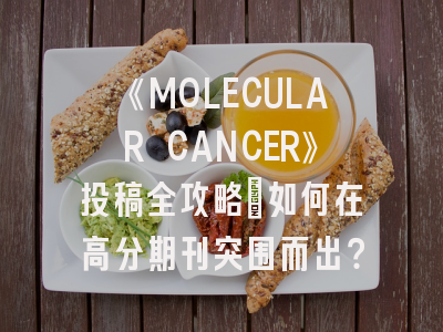 《MOLECULAR CANCER》投稿全攻略：如何在高分期刊突围而出？