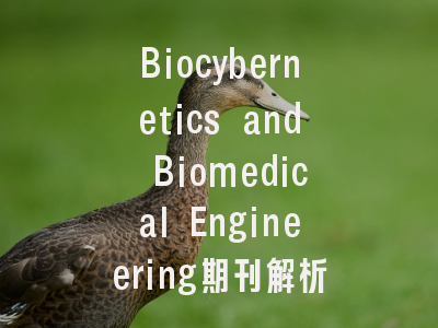 Biocybernetics and Biomedical Engineering期刊解析_生物医学工程研究者的投稿路线图