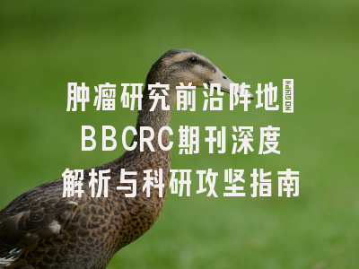 肿瘤研究前沿阵地_BBCRC期刊深度解析与科研攻坚指南