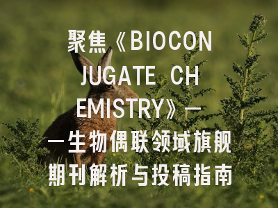 聚焦《BIOCONJUGATE CHEMISTRY》——生物偶联领域旗舰期刊解析与投稿指南