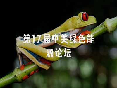 第17届中美绿色能源论坛