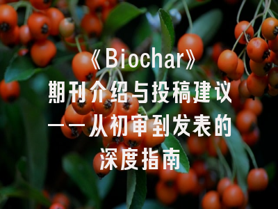 《Biochar》期刊介绍与投稿建议——从初审到发表的深度指南