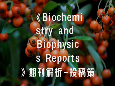 《Biochemistry and Biophysics Reports》期刊解析-投稿策略与发表指南