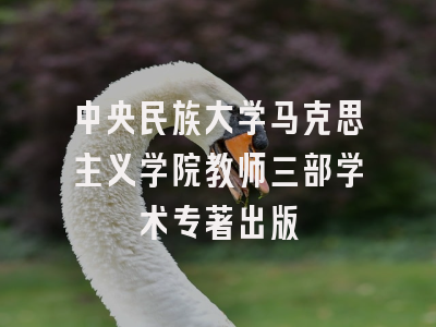 中央民族大学马克思主义学院教师三部学术专著出版