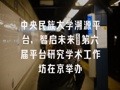 中央民族大学溯源平台，智启未来｜第六届平台研究学术工作坊在京举办