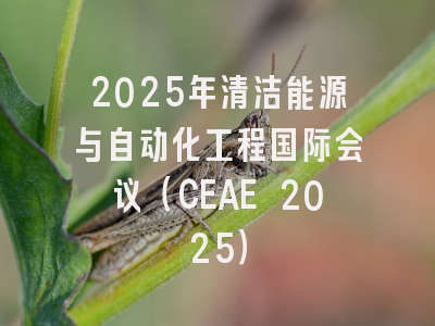 2025年清洁能源与自动化工程国际会议（CEAE 2025）