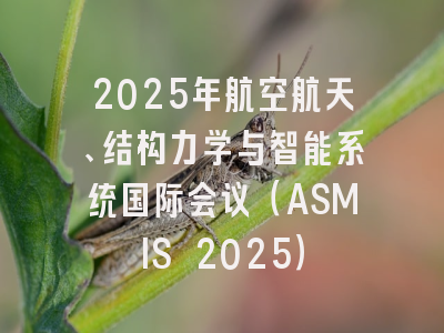 2025年航空航天、结构力学与智能系统国际会议（ASMIS 2025）