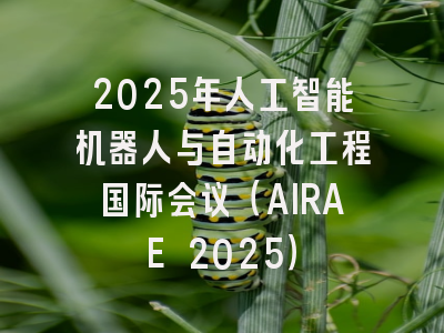 2025年人工智能机器人与自动化工程国际会议（AIRAE 2025）
