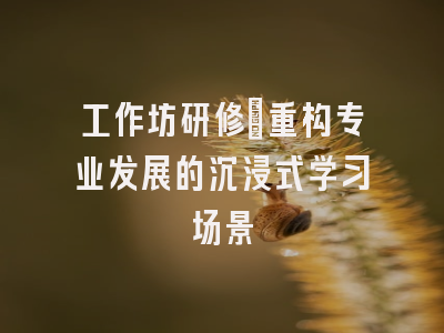 工作坊研修_重构专业发展的沉浸式学习场景