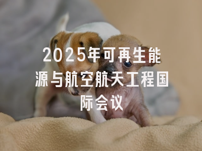 2025年可再生能源与航空航天工程国际会议