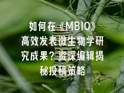 如何在《MBIO》高效发表微生物学研究成果？资深编辑揭秘投稿策略