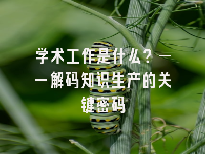 学术工作是什么？——解码知识生产的关键密码