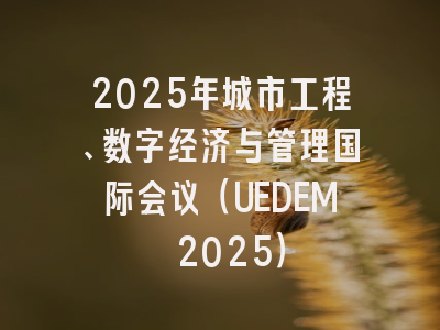 2025年城市工程、数字经济与管理国际会议（UEDEM 2025）