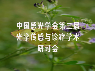 中国感光学会第二届光学传感与诊疗学术研讨会