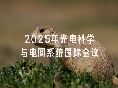 2025年光电科学与电网系统国际会议