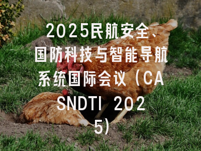 2025民航安全、国防科技与智能导航系统国际会议（CASNDTI 2025）