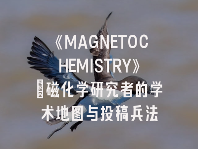 《MAGNETOCHEMISTRY》：磁化学研究者的学术地图与投稿兵法