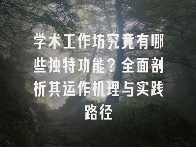学术工作坊究竟有哪些独特功能？全面剖析其运作机理与实践路径