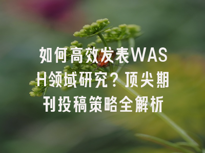 如何高效发表WASH领域研究？顶尖期刊投稿策略全解析