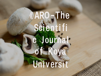 《ARO-The Scientific Journal of Koya University》期刊解析——如何在高影响因子平台展现科研成果？