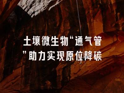 土壤微生物“通气管”助力实现原位降碳