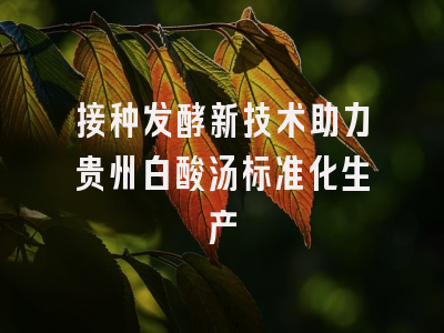 接种发酵新技术助力贵州白酸汤标准化生产