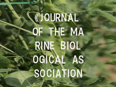 《JOURNAL OF THE MARINE BIOLOGICAL ASSOCIATION OF THE UNITED KINGDOM》投稿全指南：如何提高海洋生物学研究的发表成功率？
